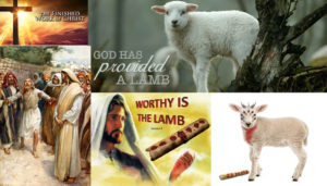 God's Provided Lamb To Blind Bartimaeus