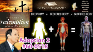 Adoption - Part 2