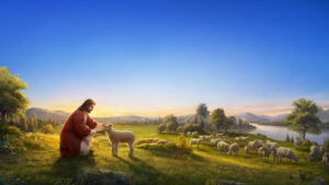 The Mystery Of The Shepherd And Sheep