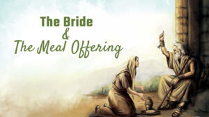 The Bride And The Meal Offering