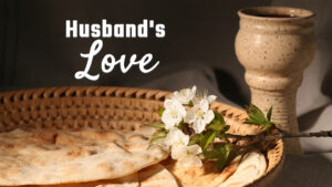 Husband's Love