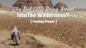 Why Did God Bring Israel Into The Wilderness?