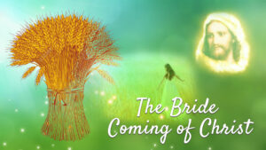 The Bride Coming Of Christ